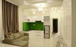 Smiley Apartment 2 (100/35 Duong Ba Trac, D.8)